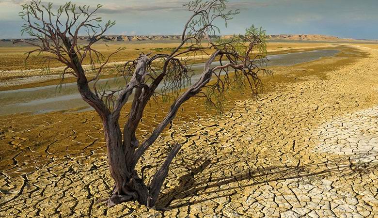 Třetina půdy na naší planetě již není vhodná pro zemědělství.