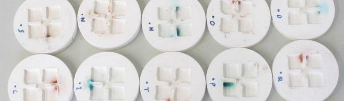 Toalety staví ... mravenci