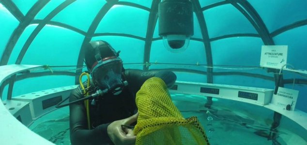 Vědci budou pěstovat rostliny jedlé pro lidi pod vodou