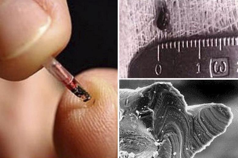 Vědci prokázali, že mimozemšťané unesou a štěbetají lidi.