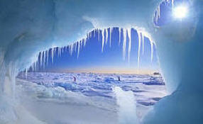 Vědci našli život pod ledem Antarktidy. Video