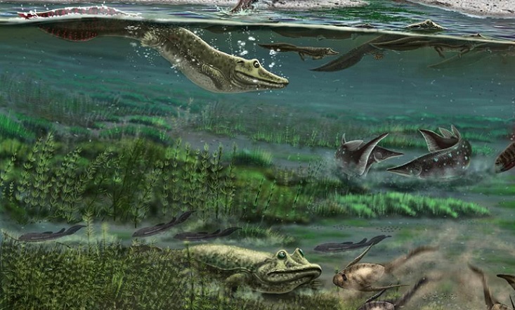 Vědci vyvrátili dřívější pojem evoluce