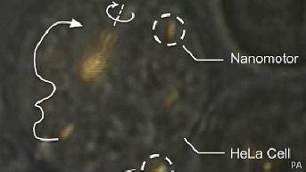 Vědci dokázali kontrolovat nanomotory uvnitř živé buňky