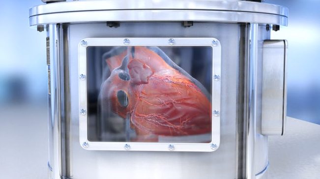 Vědci vytvořili fungující mikrokopie lidských orgánů 