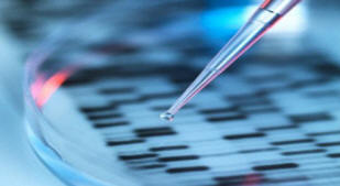 Vědci si rozrostli žaludek v laboratoři