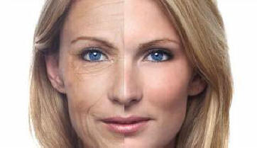 Vědcům se podařilo zvrátit proces stárnutí