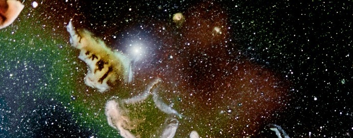 Úžasné fotografie: mikrokosmos v objektivu