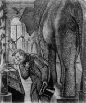 Chytří muži vidí mouchu, ale chybí jim slon