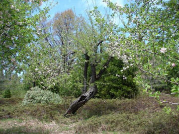 Hrůzy