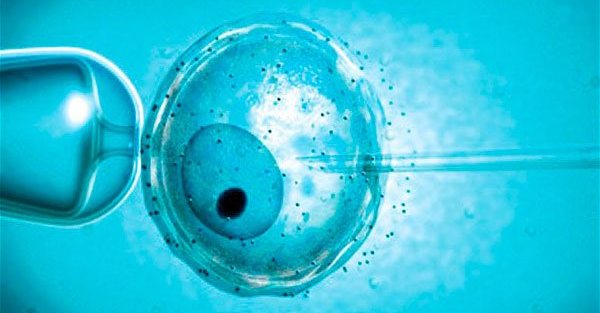 V Anglii si nyní můžete představit dítě od tří rodičů.