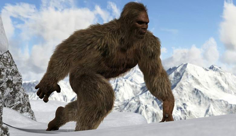 V oblasti Arkhangelska se k videu dostal sněhulák