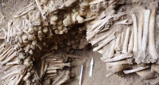 V Belgii byla objevena katedrála