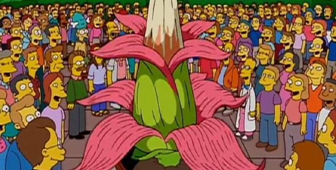 V Belgii kvetla obří páchnoucí květina