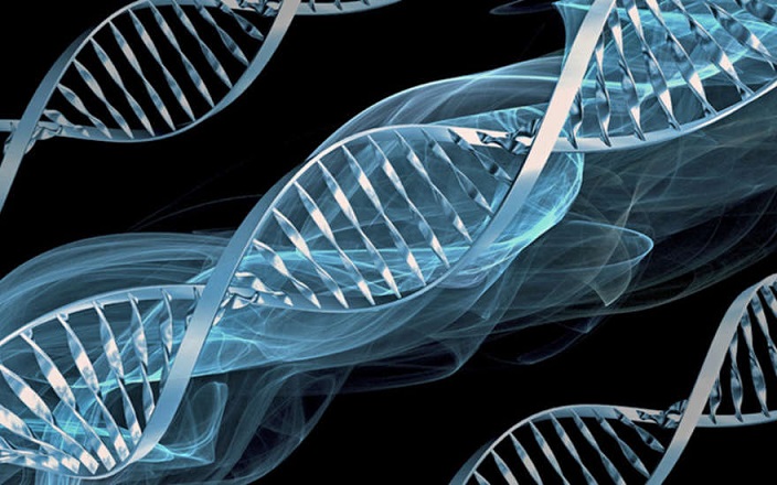 Zpráva je šifrována v lidské DNA: pravda nebo ne, vědci to zjišťují