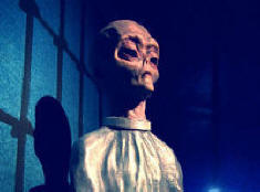 Cizinci zapojeni do ekonomického spiknutí?