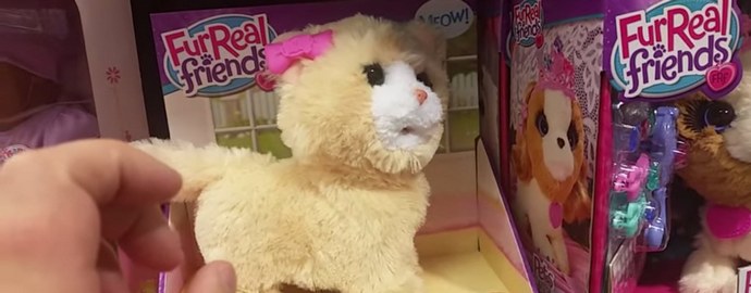 Démon naplnil hračkou kotě?