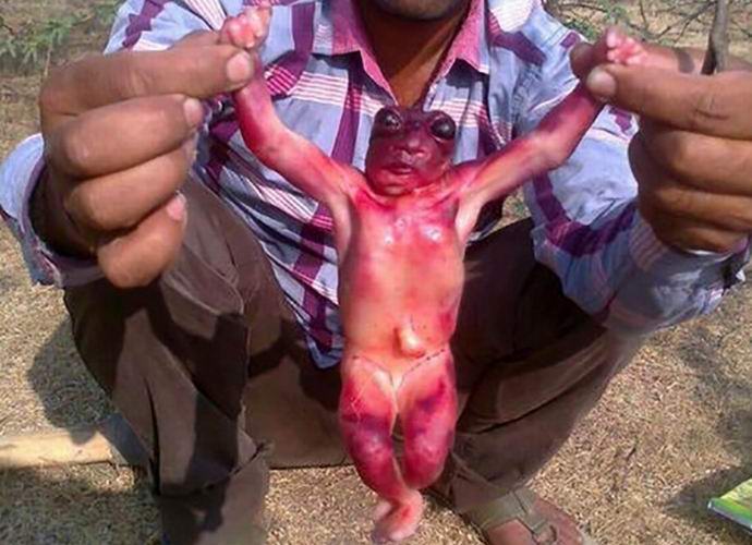 V Indii našel tělo úžasného tvora.