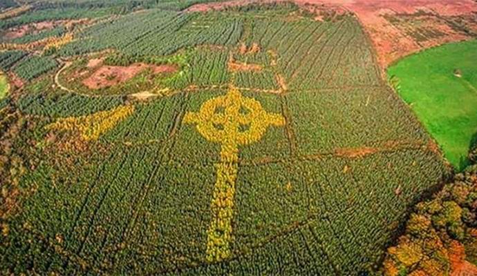 V Irsku našel obrovský keltský kříž s naloženými stromy