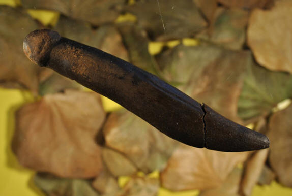 Položka ze Švédska. Tvrdí také o jejím účelu.