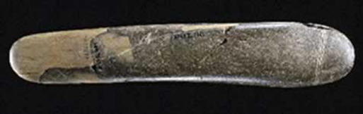 Německý subjekt ve věku 28 let je mnohem větší než jeho pozdější protějšky