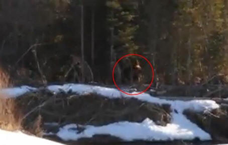 Bigfoot byl natočen v Kanadě