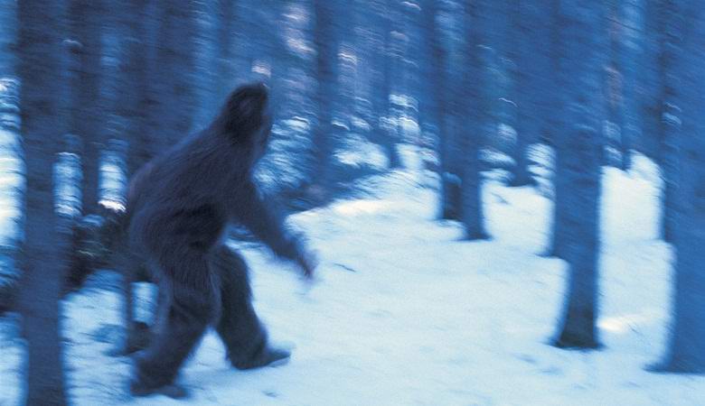 V Kanadě zajal velkého sněhuláka