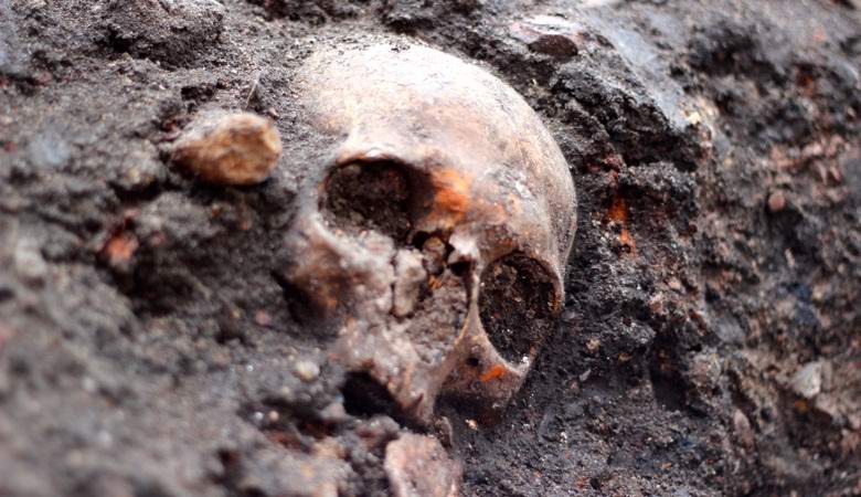 V Číně vykopali zbytky obrů 5 000 let