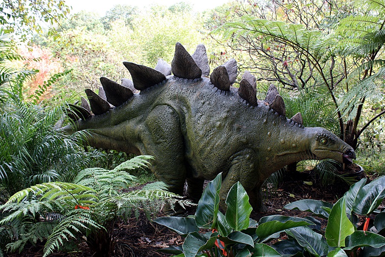 V Maroku našel zbytky starověkého stegosauru.