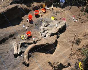 V Mexiku našel pozůstatky dospělého mamuta