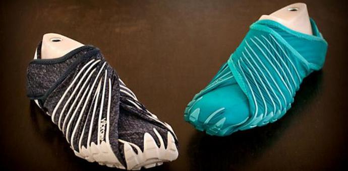 Pronásledování dokonalých bot