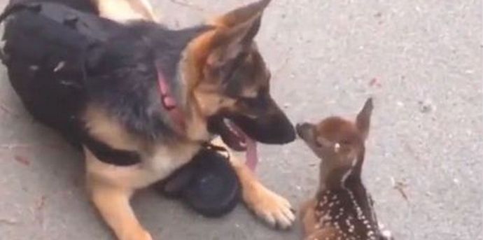 Malé zázraky se neustále dějí v přírodě