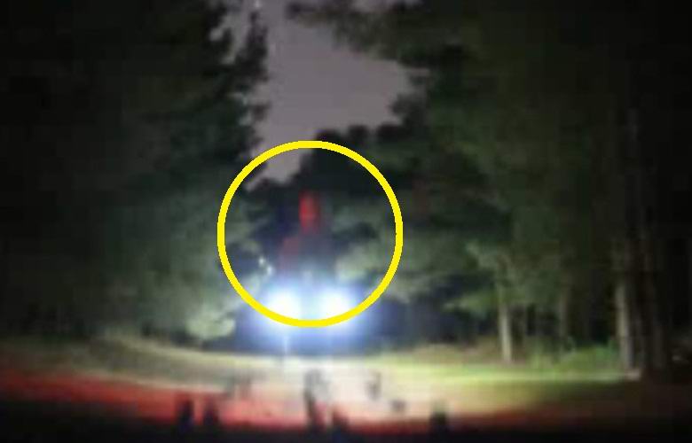Obrovský mimozemšťan byl vyfotografován v Randleshamském lese
