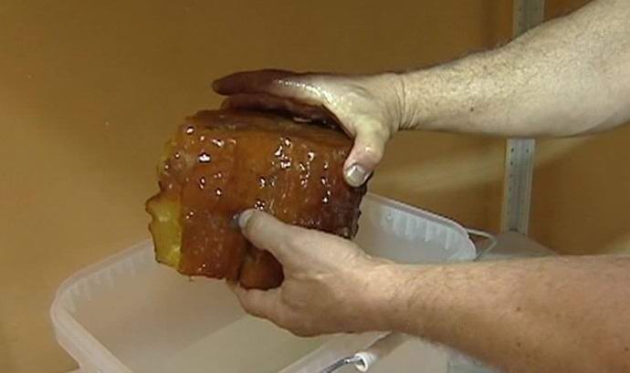 V Rusku našel obrovský jantarový nugget