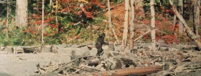 Kostra sněhuláka se objevila v rukou vědců