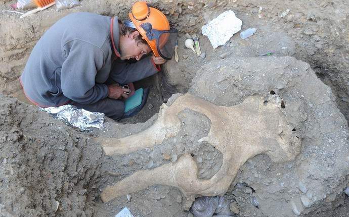 Ve Spojených státech objevila záhadná lebka.