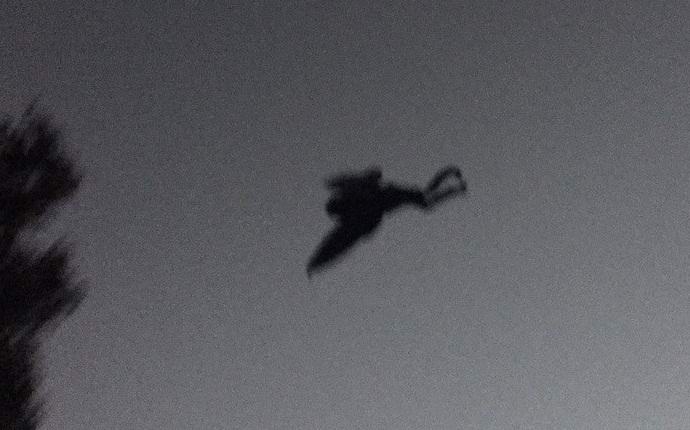 Ve Spojených státech byl legendární Moth Man znovu vyfotografován.