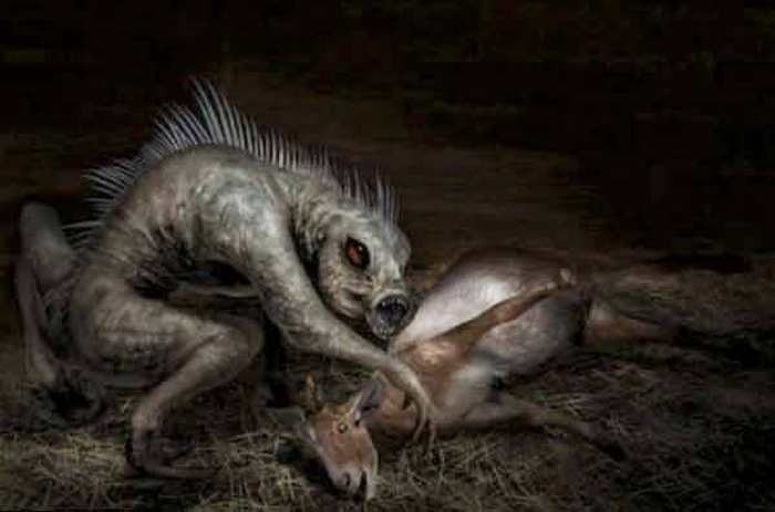 Chupacabra se objevil v Ufě