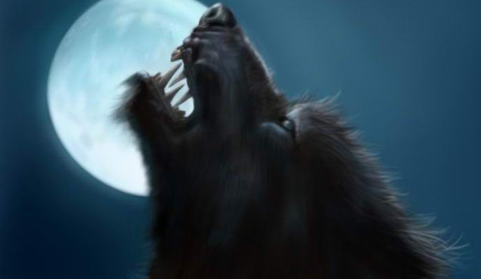 Ve Velké Británii se bude konat mezinárodní konference o vlkodlacích