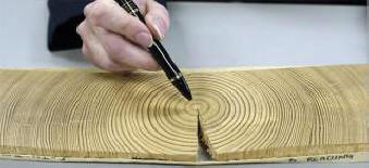 V VIII. Století byla Země zasažena tajemným kosmickým paprskem.