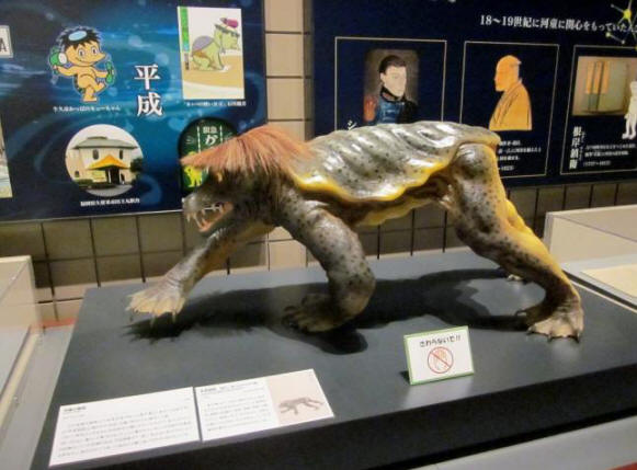 V Japonsku se zobrazí mumifikované zbytky japonského vodního kamene