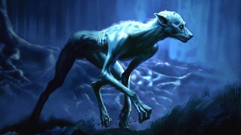 V Jižní Africe natáčel legendární mužský pes?