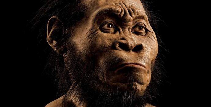 V Jižní Africe našel nový druh primitivního člověka.