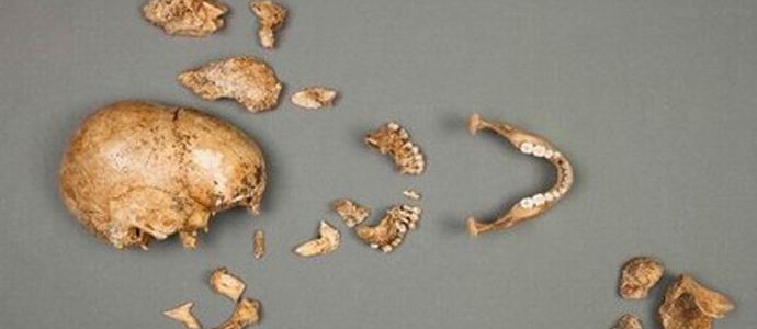 Kosti Wehrmachtu důstojníka nalezené v žaludku obrovského sumce