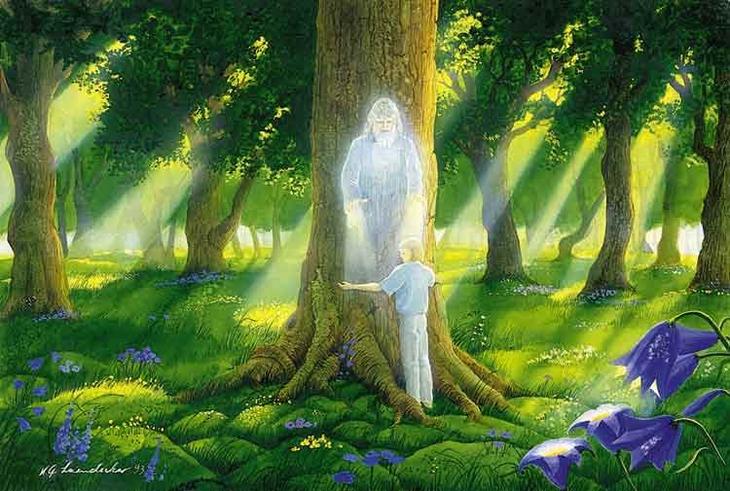 Skvělí a bezplatní léčitelé - stromy