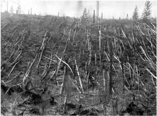 Verze: Exploze Tunguska - předzvěst globální katastrofy
