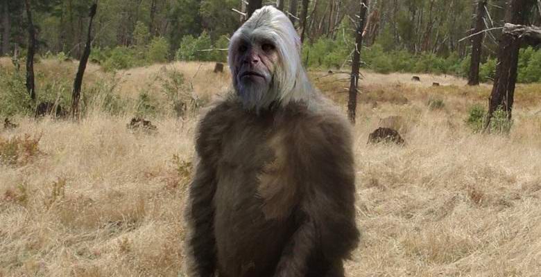 Video s yetiem způsobilo vzrušující diskusi na webu