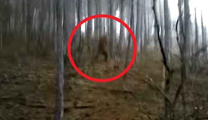 Video sněhuláka na Krymu se zájmem o internet