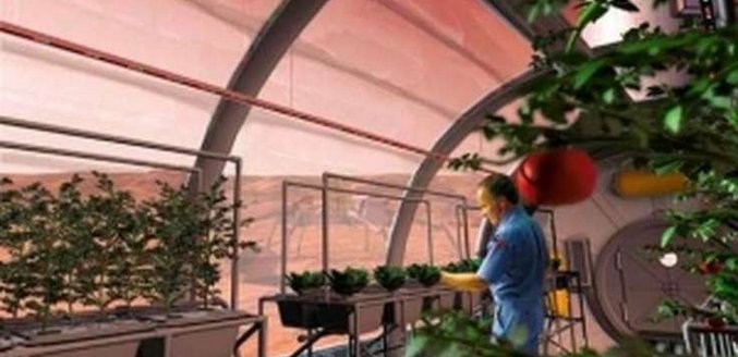 Pěstujte ovoce a zeleninu přímo na Mars roverech