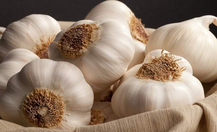 Chuť česneku je cítit ... nohama