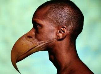 Místo zubů budou mít lidé zobák.